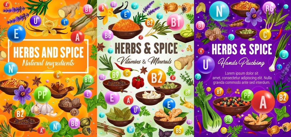 Vitamins in herbs, spices and seasonings natural ingredients. Vegetables and condiments, thyme and basil, ginger and cumin, vanilla, anise star and rosemary, pepper and cinnamon, garlic vector banners. Healthy vitamins in condiments, herbs and spices