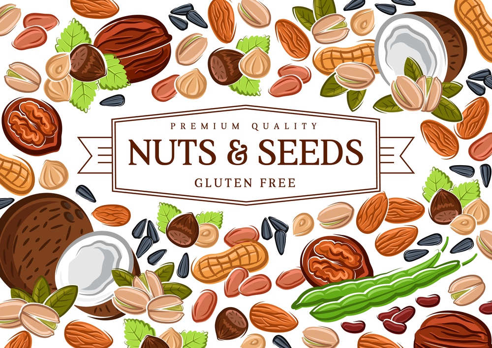Nuts, cereal grains, beans and seeds poster, gmo free healthy food vector peanut, coconut and hazelnut, pistachio or almond walnut and legume bean pod, macadamia or filbert nut and pumpkin, sunflower. Gluten free nuts, cereals, beans
