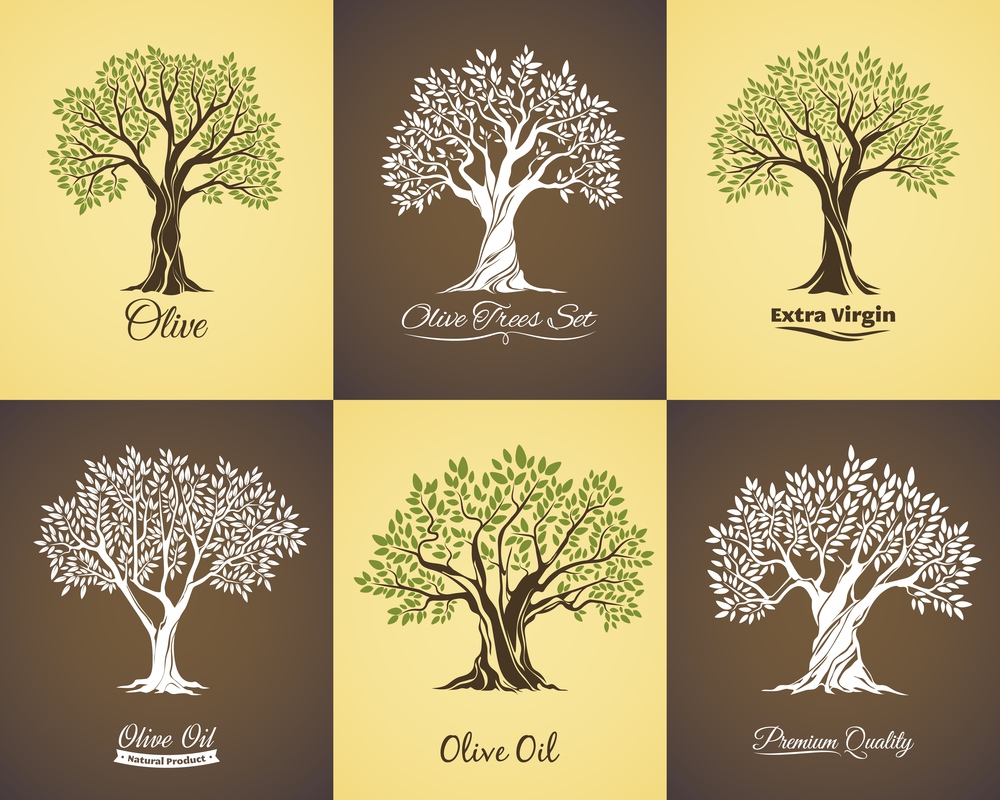 Olive tree vector icons of olive oil food labels and mediterranean plant symbols. Old trees with branches and green leaves, large crowns and trunks, Greek or Italian cuisine vegetarian product design. Olive tree icons with branches, leaves. Oil labels