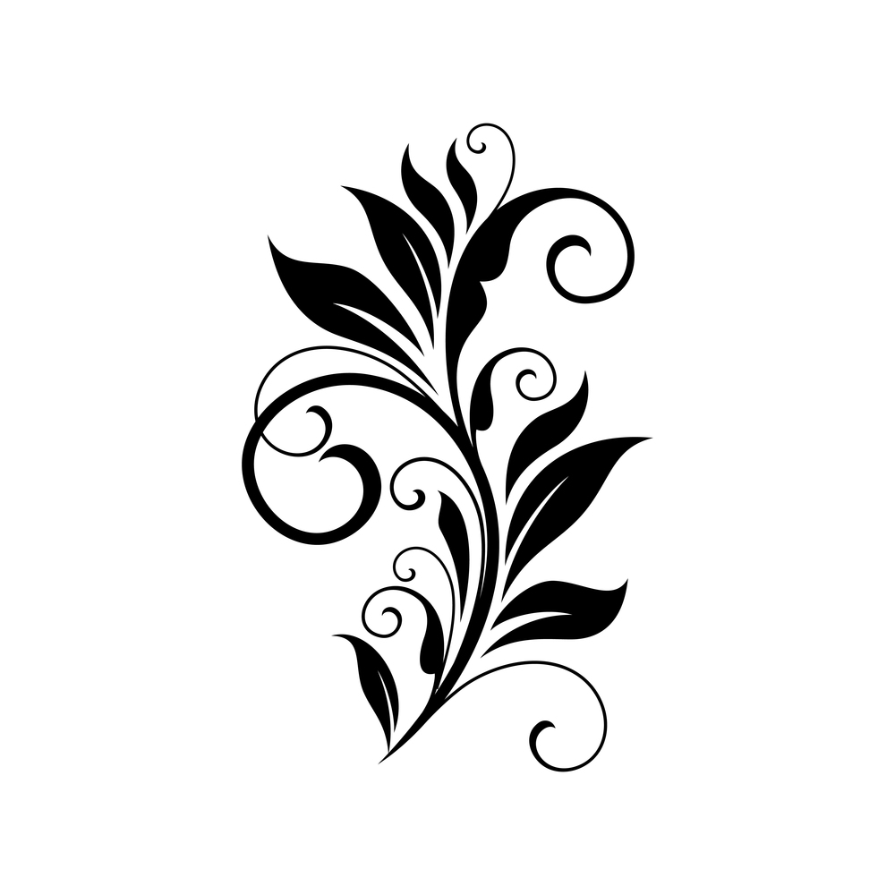 Floral ornament leaves and scrolls isolated. Vector calligraphic vintage branch with leaf. Branch with leaves isolated floral ornament