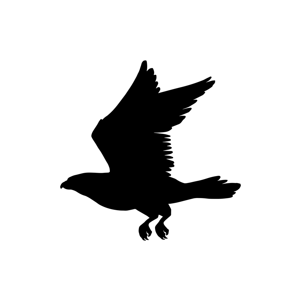 Condor in flight isolated bird silhouette. Vector flying eagle or falcon, heraldry mascot symbol. Bird silhouette in flight isolated eagle or falcon