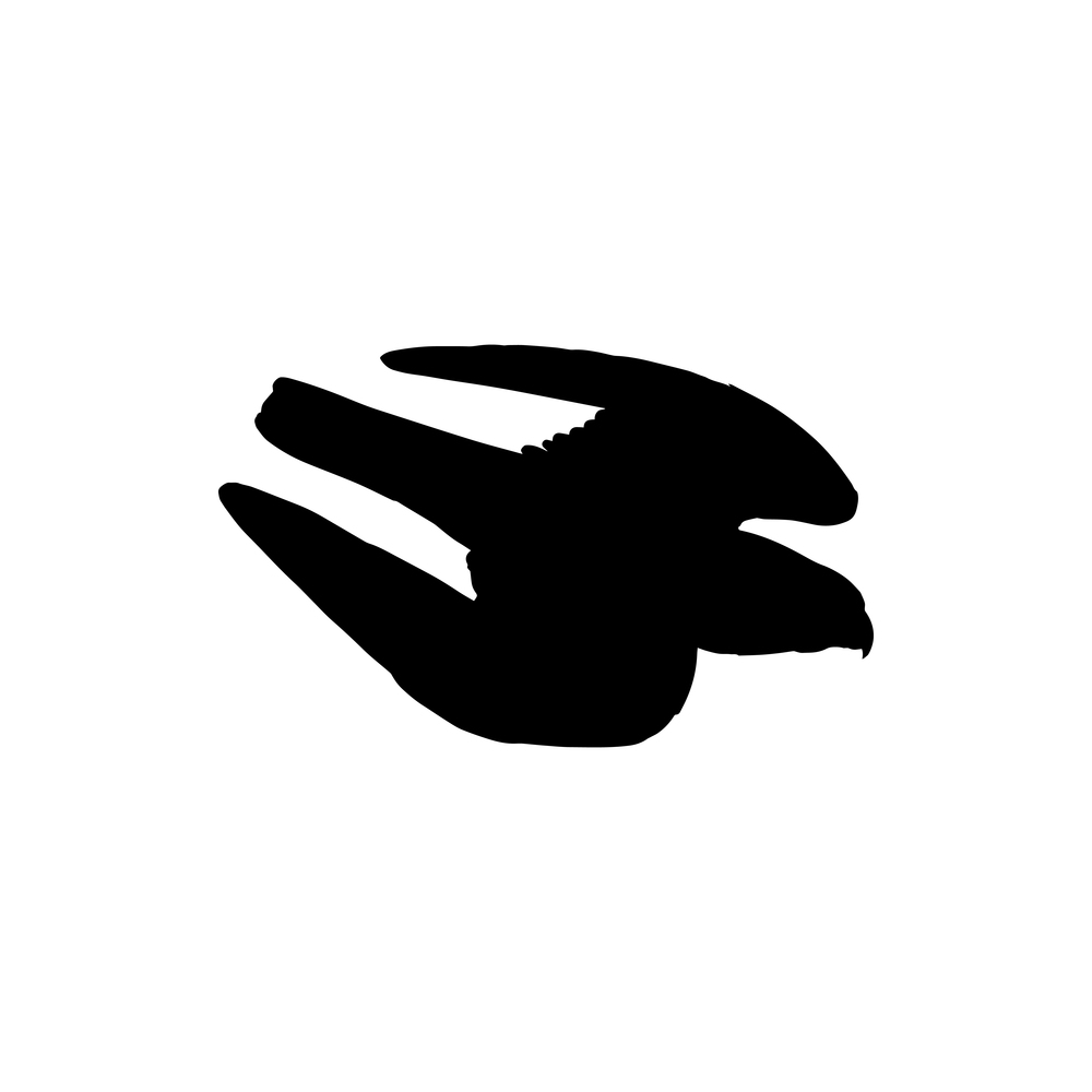 Eagle flying down to catch prey isolated bird silhouette. Vector falconry sport logo, hawk animal. Hawk animal isolated eagle falcon bird flying down