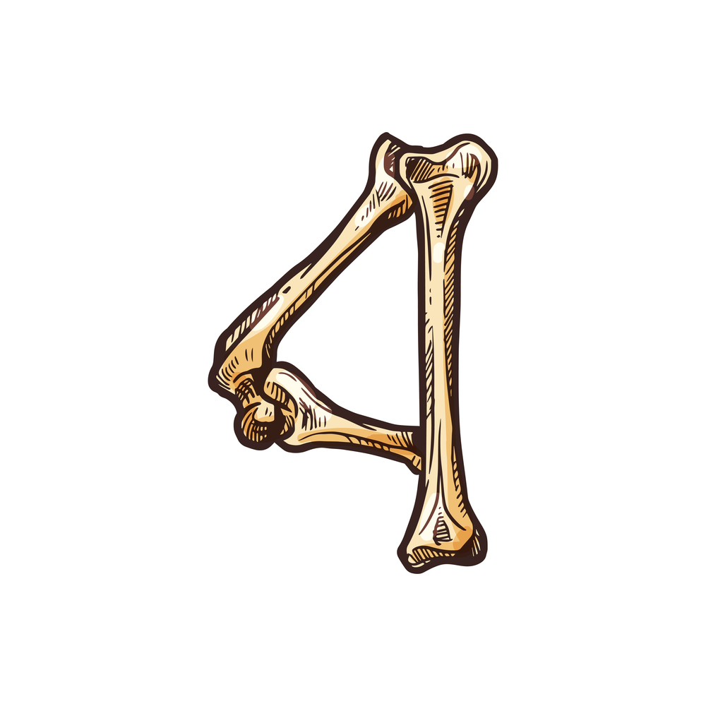 Number four created of bones isolated digit figure. Vector 4 numeral, dia de los muertos font. 4 digit of bones, isolated creative four numeral