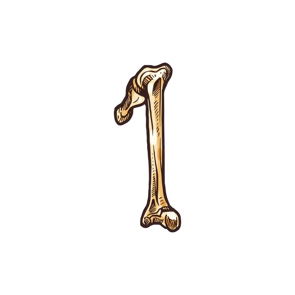 First digit, number one of bones isolated numeric figure. Vector 1 sign, Halloween font. Number 1 figure made of bones isolated first digit