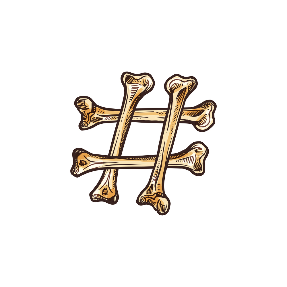 Hashtag metadata tag isolated number or pound sign. Vector font symbol made of bones. Number pound sign of bones isolated hashtag