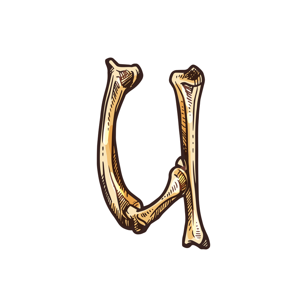 U capital letter isolated dia de los muertos alphabet font. Vector u ABC sign of bones. Letter U of bones isolated Halloween alphabet sign