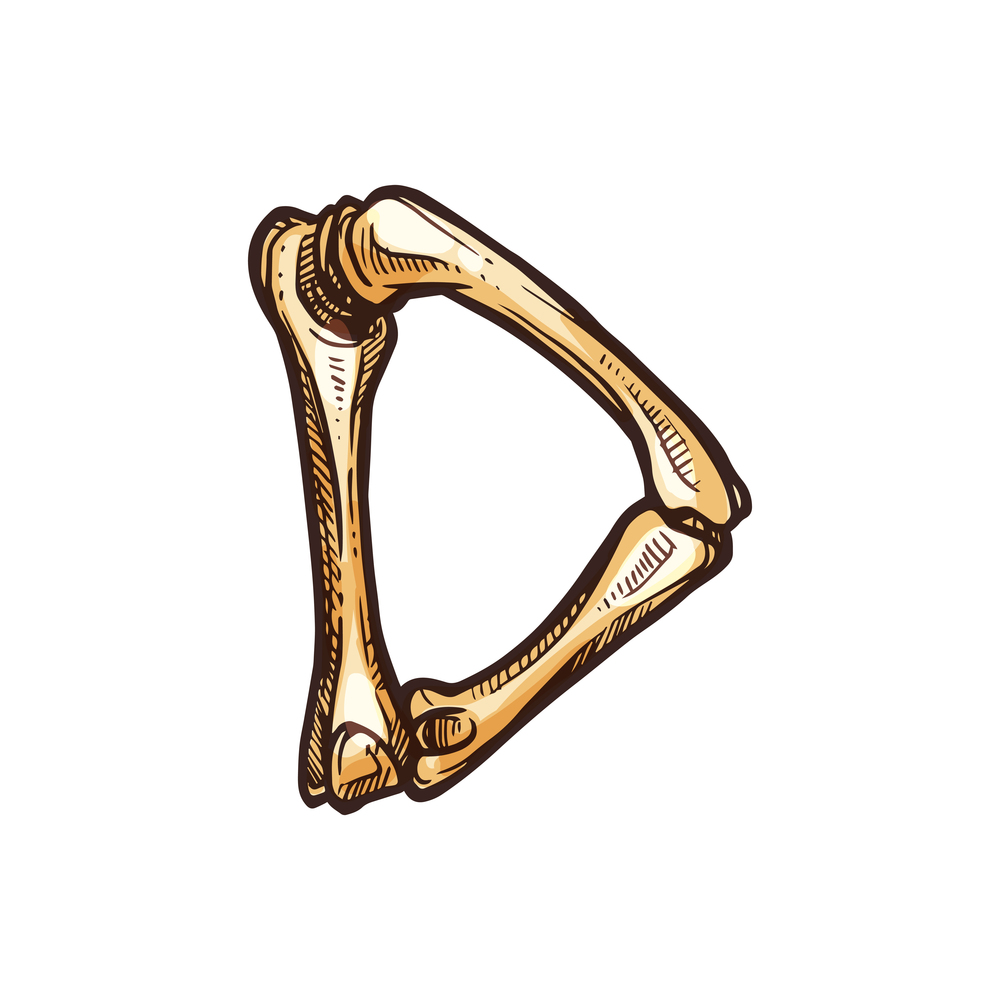 D letter, Dia de los muertos alphabet font of bones. Vector spooky ABC element. Letter D isolated sketch icon isolated ABC element