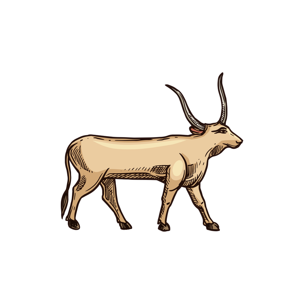 Ancient Egypt worshiped Apis bull isolated horned divinity of Egypt. Vector Hapi-ankh. Apis bull horned divinity of Egypt isolated animal