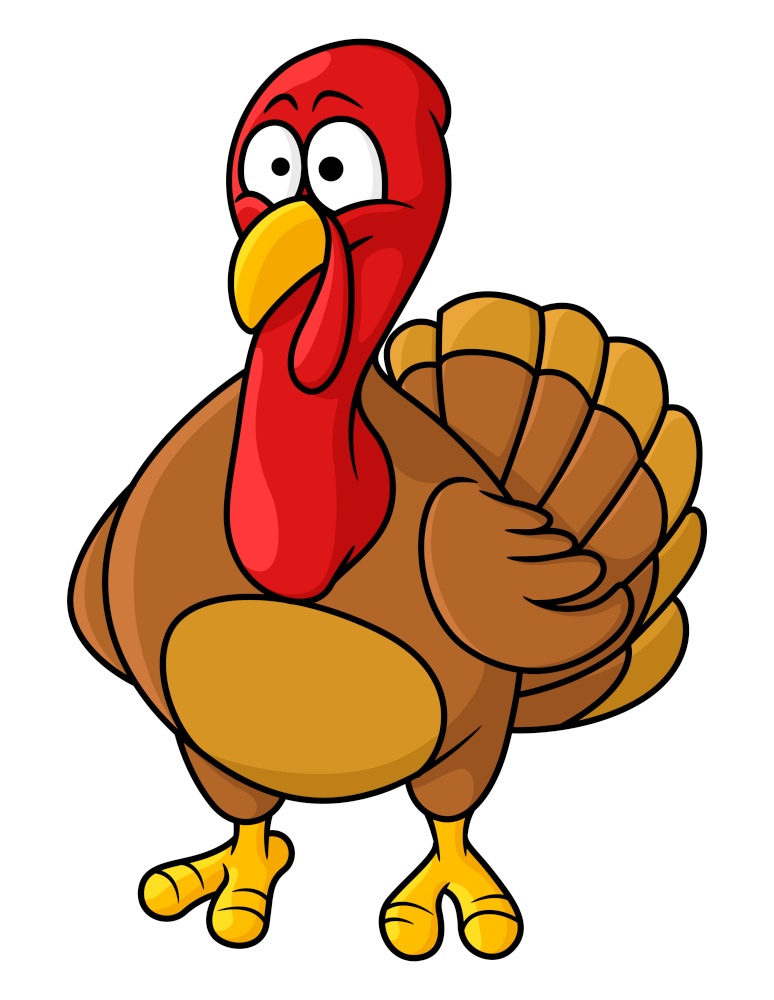 Fun caricature cartoon turkey standing facing the viewer with a bemused expression, cartoon  illustration, for thanksgiving holiday or farming design