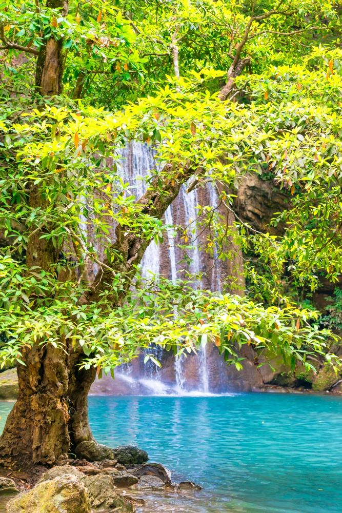 Beautiful waterfall in tropical jungle forest with big green tree on foreground and emerald lake. Nature landscape of Erawan National park, Kanchanaburi, Thailand