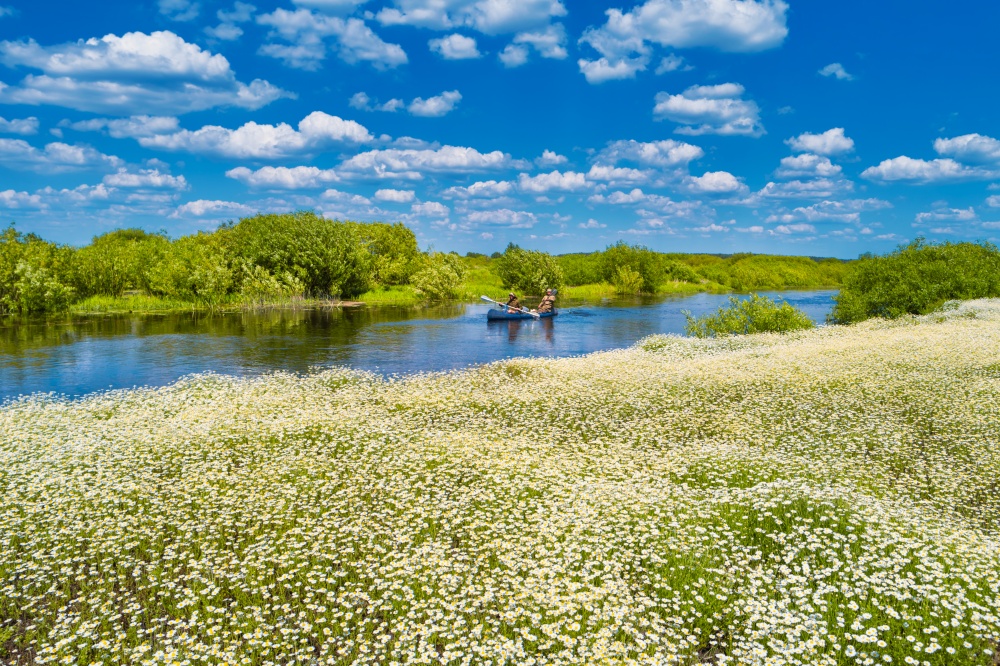 Men at kayak trip on blue river landscape near field of white daisy flowers, green forest with trees blue water clouds sky