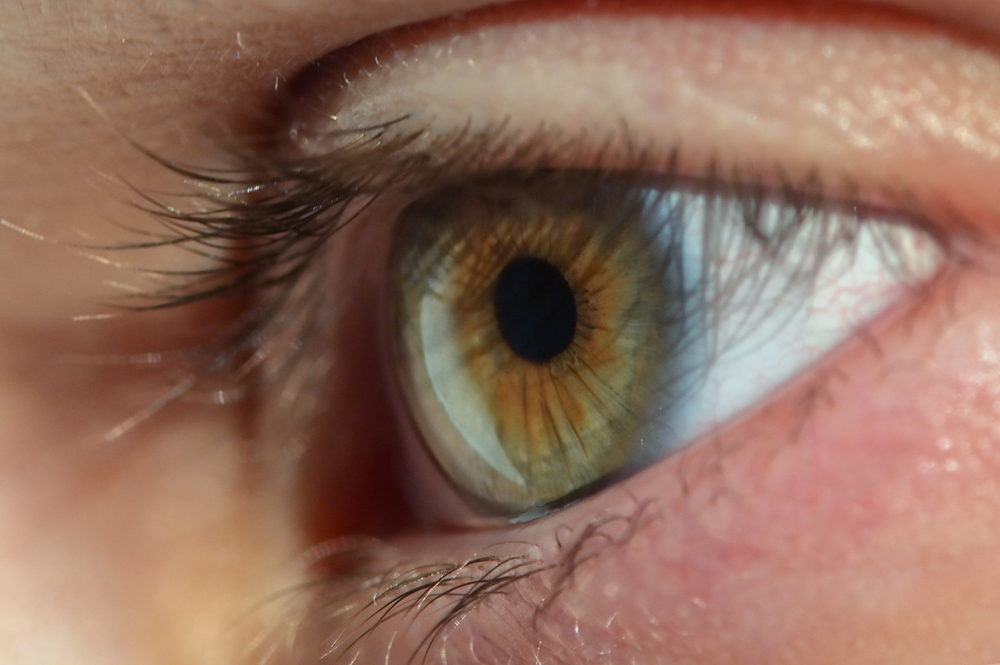 Details of Human Eye Macro View