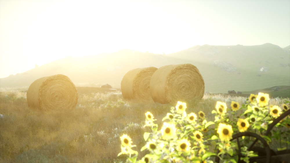 hay bales in the sunset