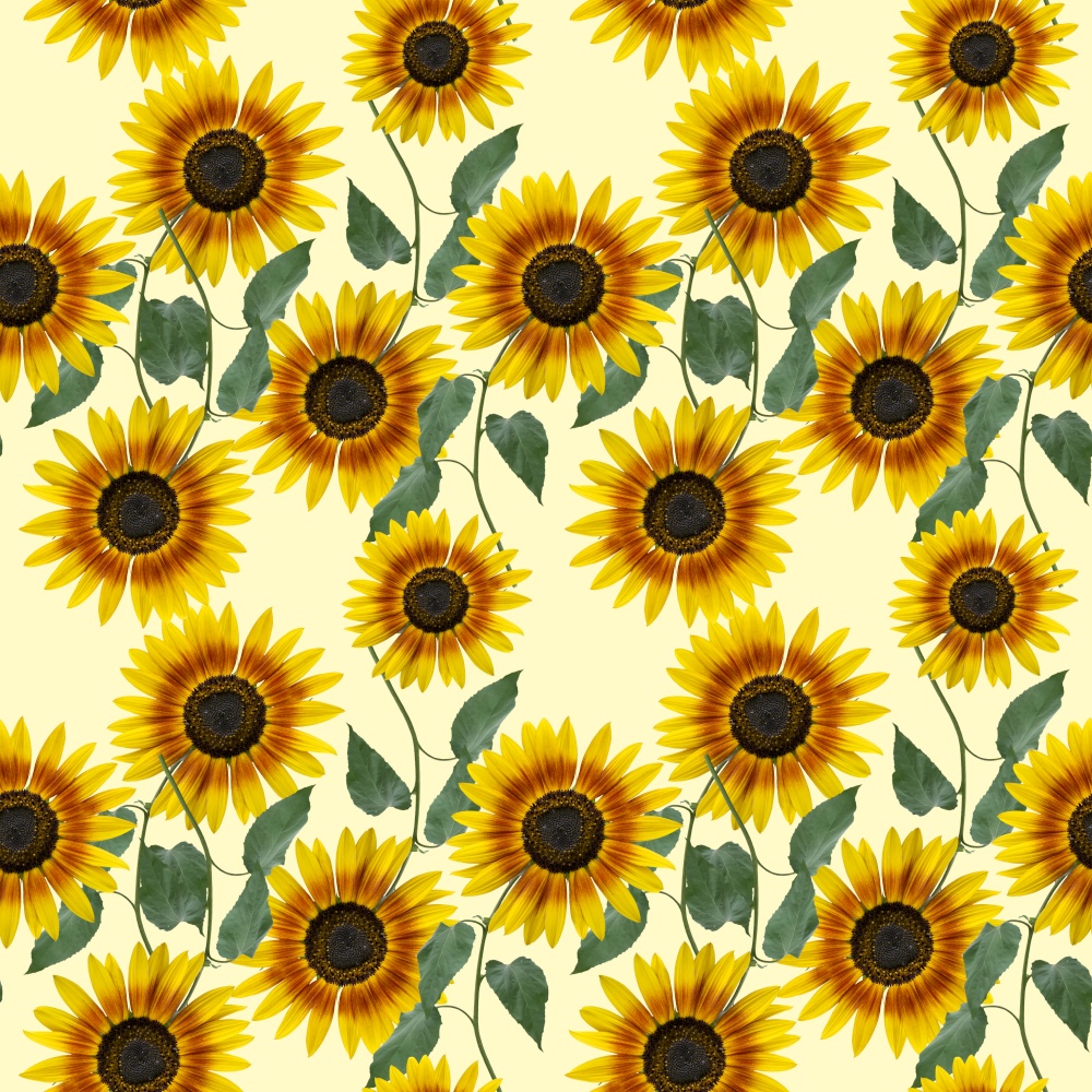 Seamless floral design with sunflowers for background, Endless pattern.