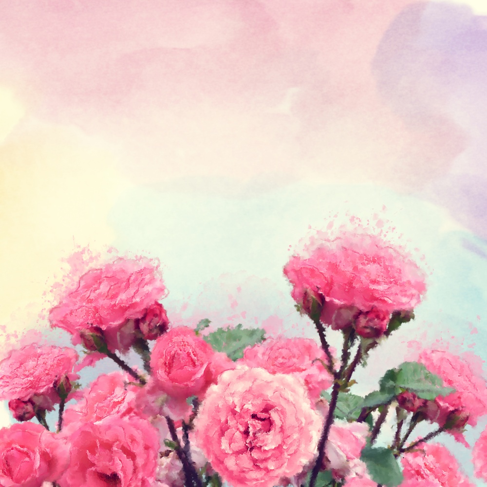 Pink roses watercolor illustration. Digital painting.