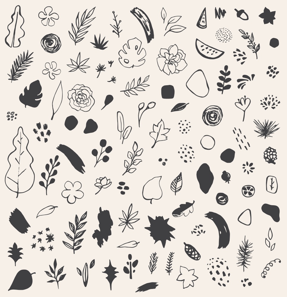 Set of hand drawn vector abstract seasonal botanical and natural doodles