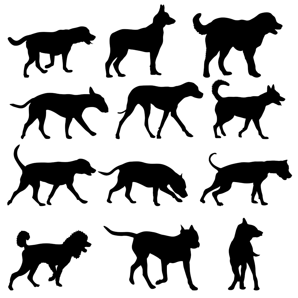 Set silhouette domestic dog on a white background.. Set silhouette dog on a white background
