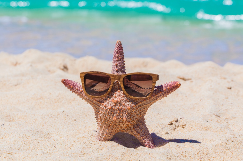 Starfish in sunglasses on beautiful sandy beach tropical summer vacation. Starfish in sunglasses on beach
