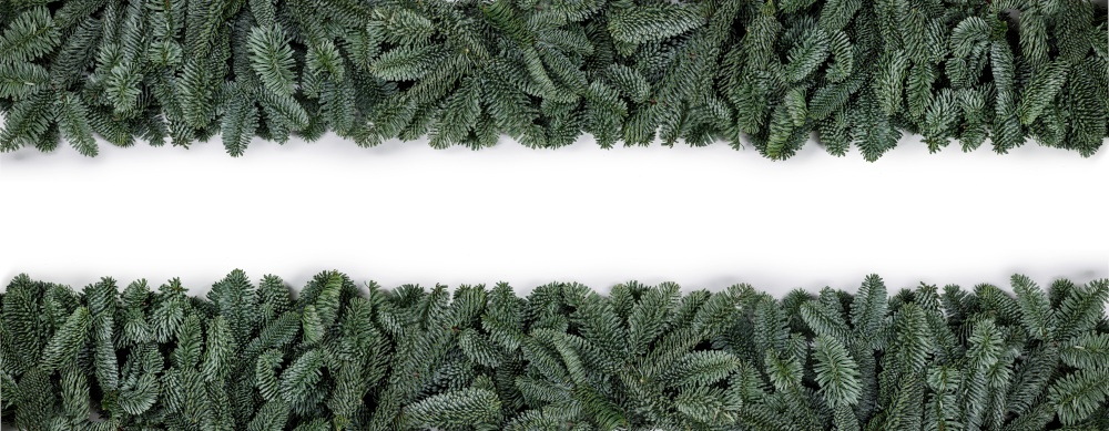 Natural noble fir Christmas tree border frame isolated on white , copy space for text. Fir tree branch frame on white