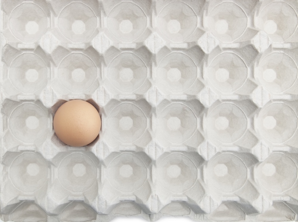 One brown egg in an empty carton