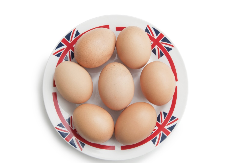 Brown eggs in plate over white background
