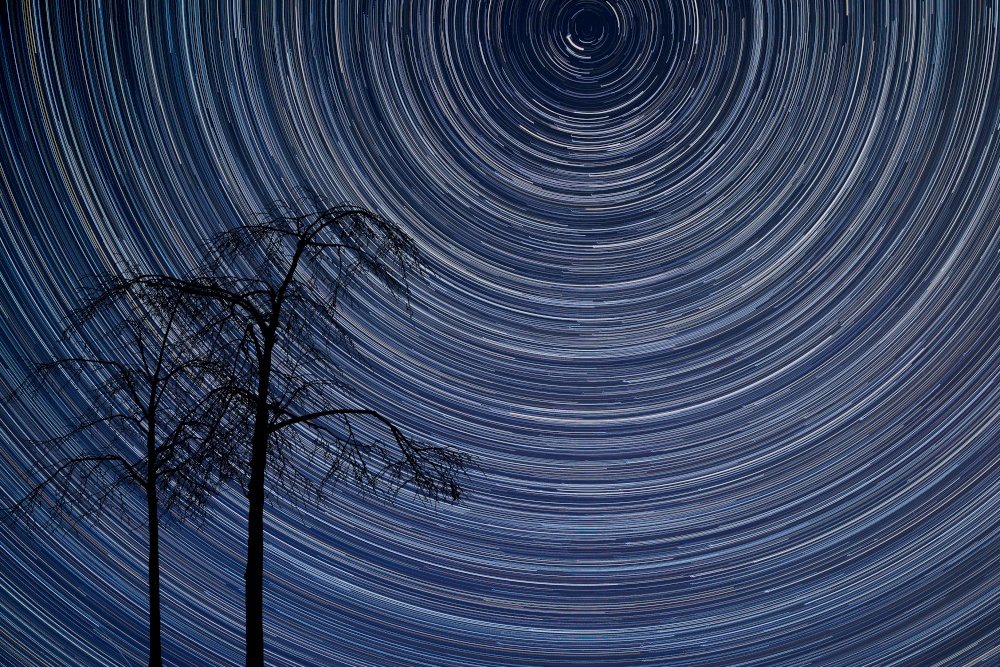 Digital composite image of star trails around Polaris with natural tree silhouettes