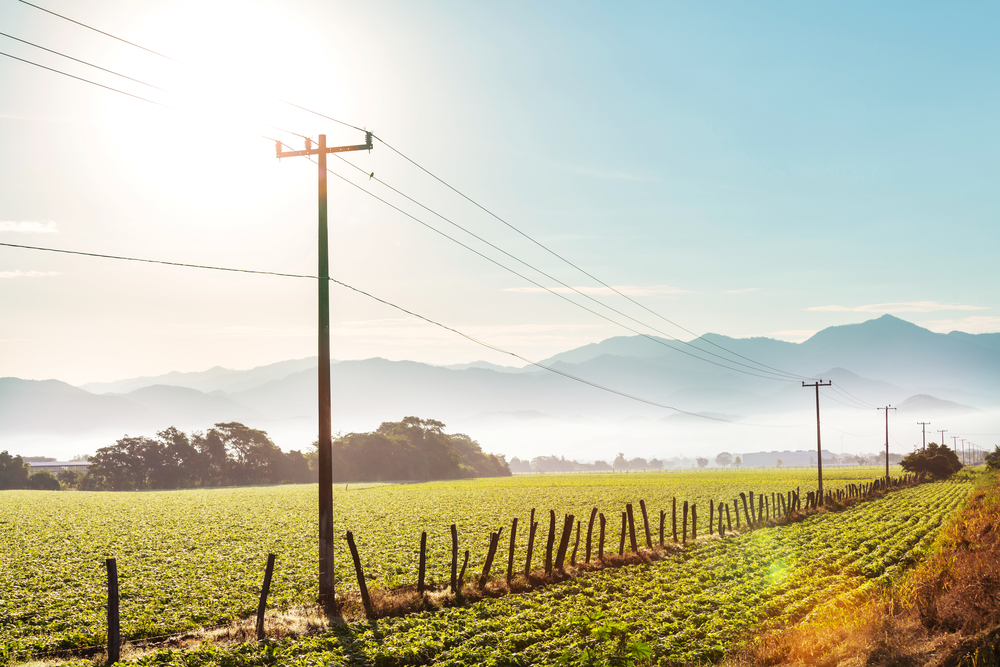 voltage lines and green agricultural landscape on a sunny day