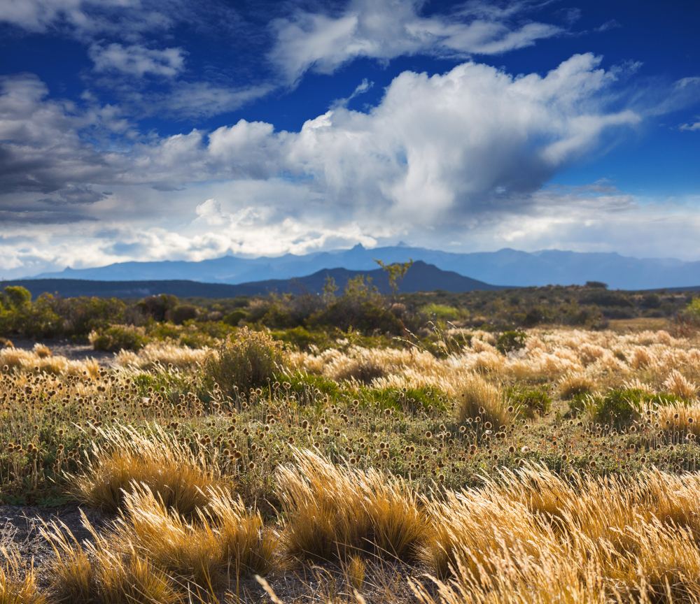 Prairie landscapes in Utah, USA