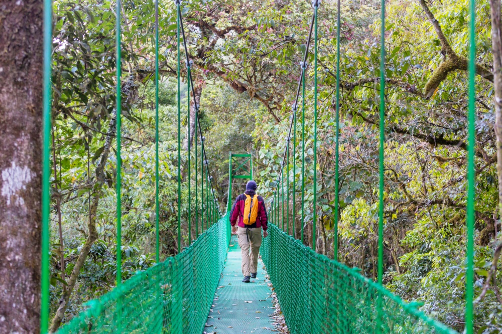 Handing Bridge in green jungle, Costa Rica, Central America