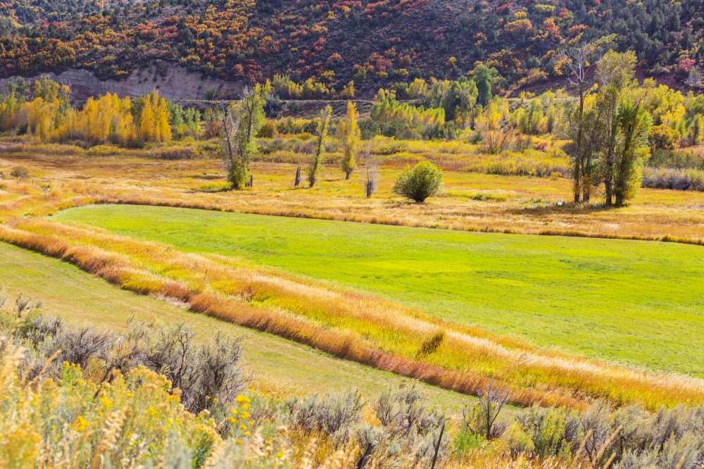 Yellow and orange fields in fall season
