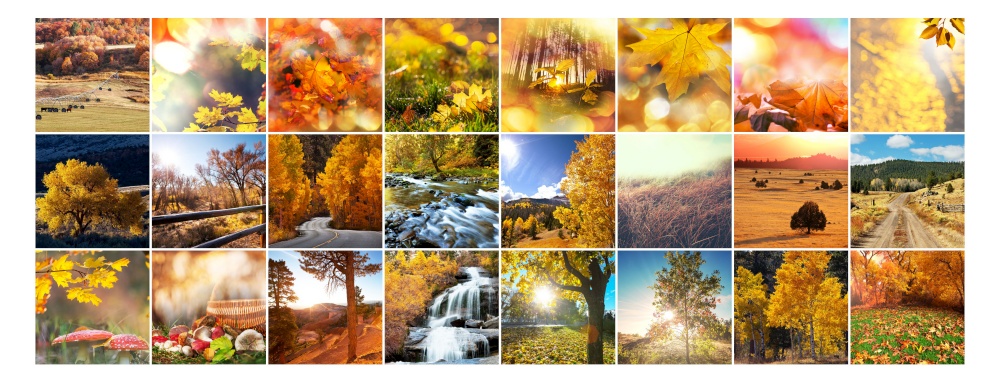 Orange and Yellow Autumn collage. Fall background.