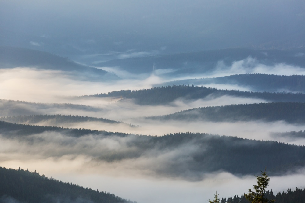 Beautiful natural landscapes in Carpathian mountains