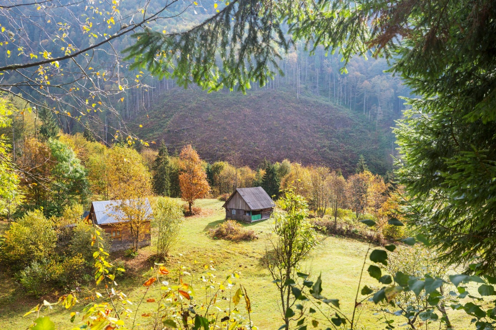 Autumn scene of mountain village, autumn season  in Carpathians