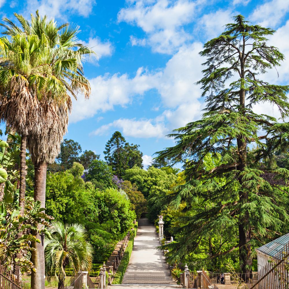 COIMBRA, PORTUGAL - JUNE 29: The Botanical Garden of the University of Coimbra on June 29, 2014 in Coimbra, Portugal