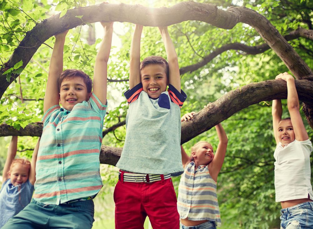 friendship, childhood, leisure and people concept - group of happy kids or friends hanging on tree and having fun in summer park. happy kids hanging on tree in summer park