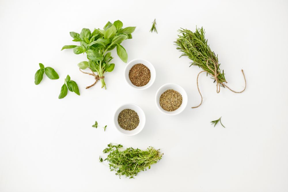 greens, culinary and flavoring concept - fresh basil, rosemary and thyme with dry seasoning in cups on white background. fresh and dry seasoning on white background
