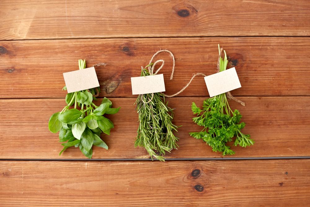 greens, spices or medicinal herbs concept - bunches of parsley, basil and rosemary on wooden boards. greens, spices or medicinal herbs on wooden boards