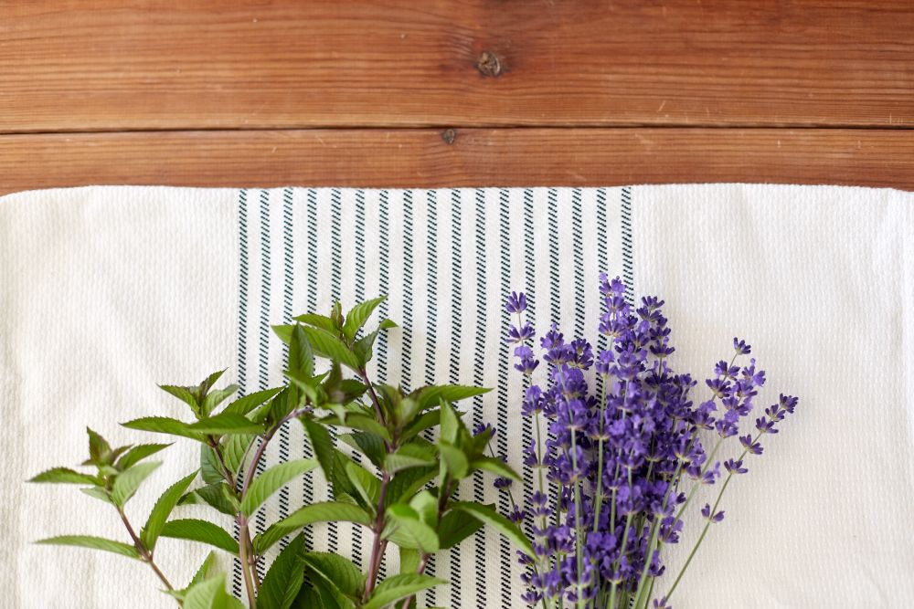 gardening, ethnoscience and organic concept - bunches of greens, spices or medicinal herbs on kitchen towel. greens, spices or medicinal herbs on towel