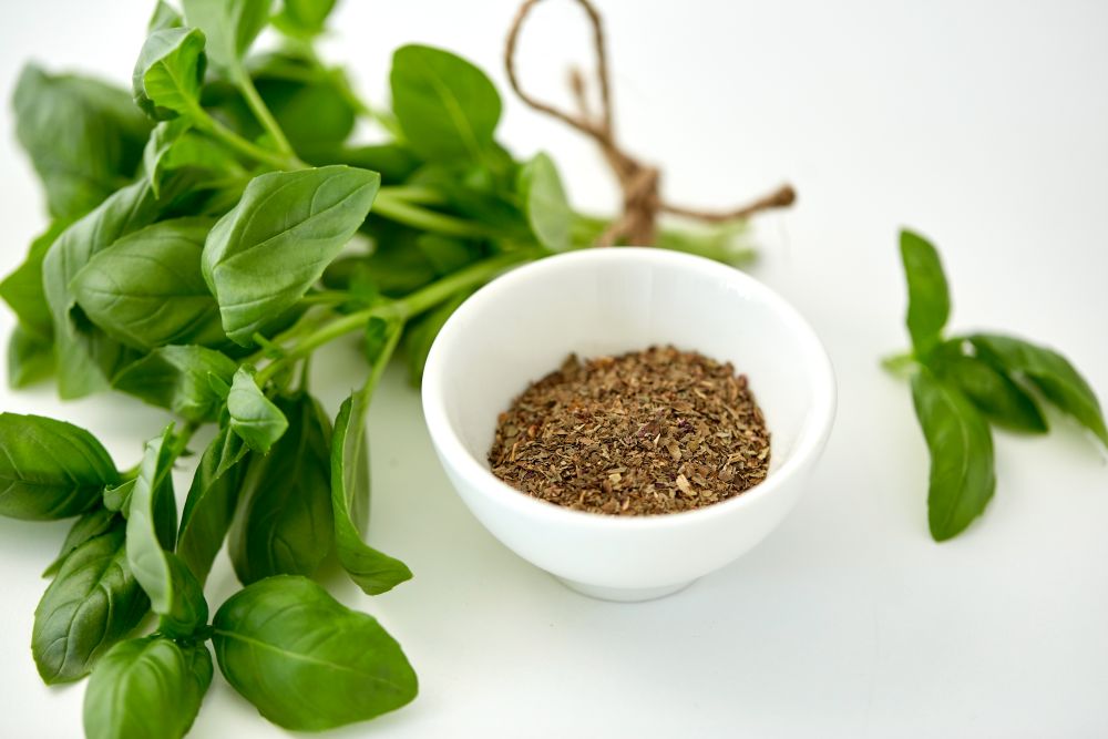greens, culinary and flavoring concept - bunch of fresh basil herb and dry seasoning in cup on white background. fresh basil and dry seasoning on white background