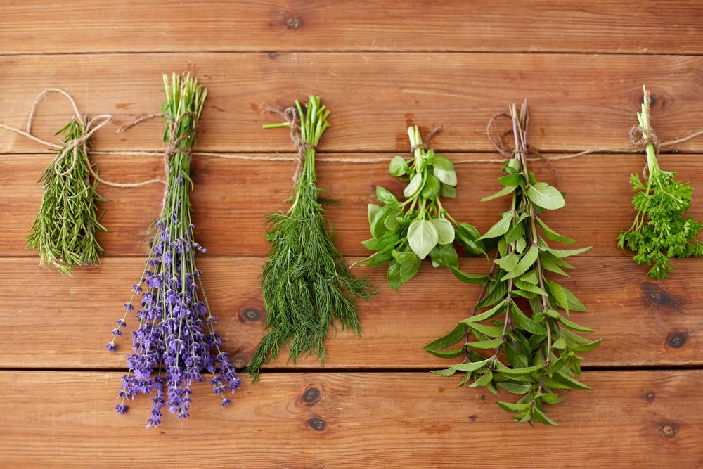 gardening, ethnoscience and organic concept - bunches of greens, spices or medicinal herbs on wooden background. greens, spices or medicinal herbs on wood