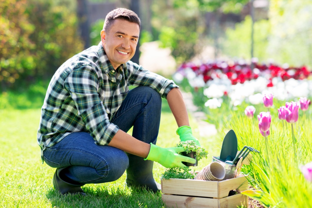 gardening and people concept - happy smiling middle-aged man with tools in box taking care of flowers at summer garden. middle-aged man with tools in box at summer garden