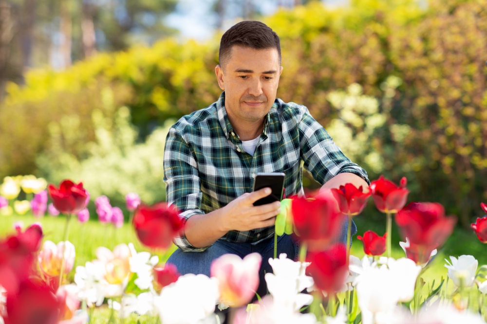 gardening and people concept - middle-aged man with smartphone taking care of flowers at summer garden. middle-aged man with smartphone at flower garden