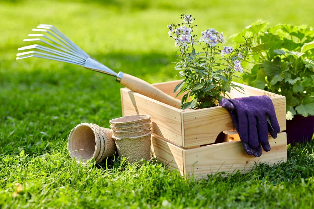 gardening and people concept - garden tools and flowers in wooden box at summer. garden tools and flowers in wooden box at summer
