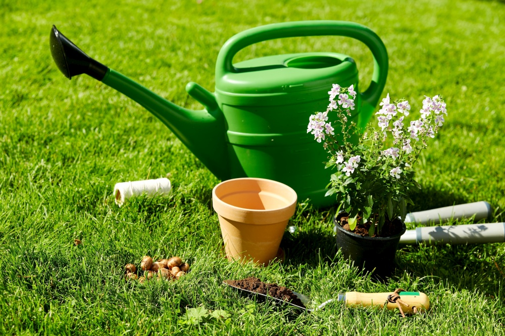 gardening and people concept - watering can, garden tools, flower pot and bulbs on grass at summer. watering can, garden tools and flower at summer