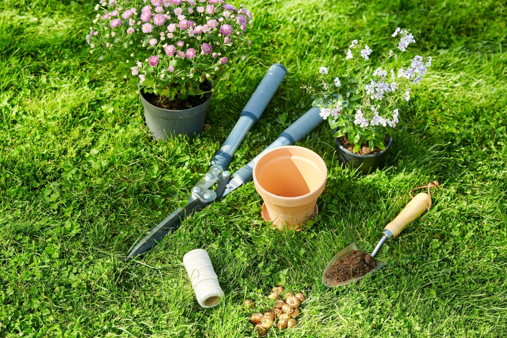 gardening and people concept - garden tools, flower pot and bulbs on grass at summer. garden tools, flower pot and bulbs on grass