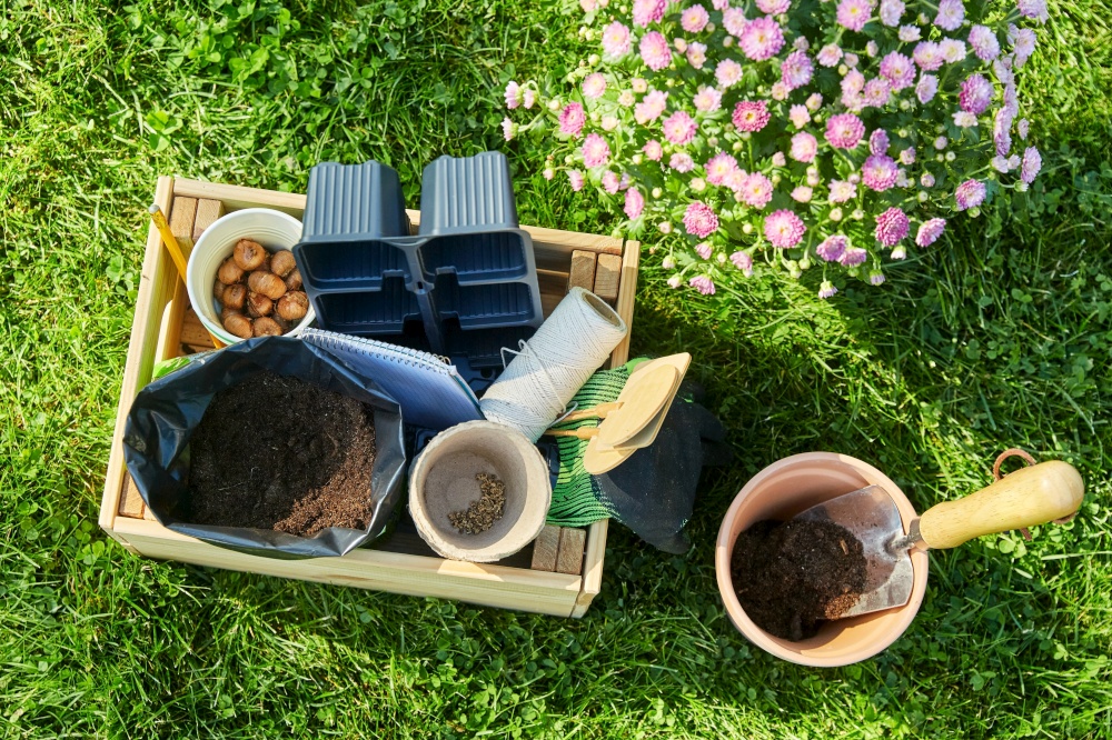 gardening and people concept - garden tools in wooden box and flowers in pots at summer. garden tools in wooden box and flowers at summer