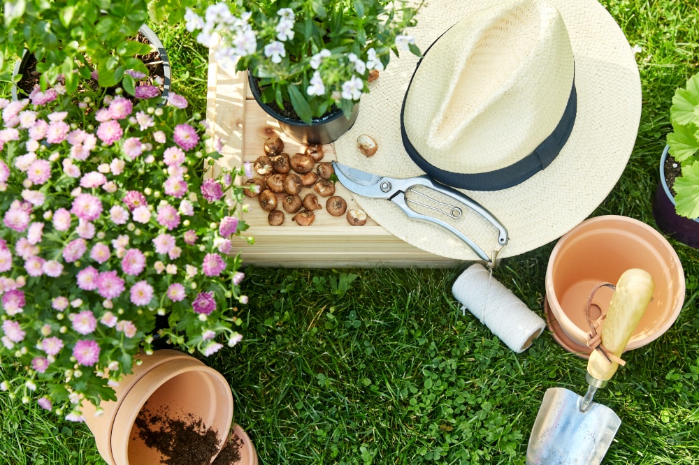 gardening and people concept - garden tools, wooden box and flowers in pots at summer. garden tools, wooden box and flowers at summer