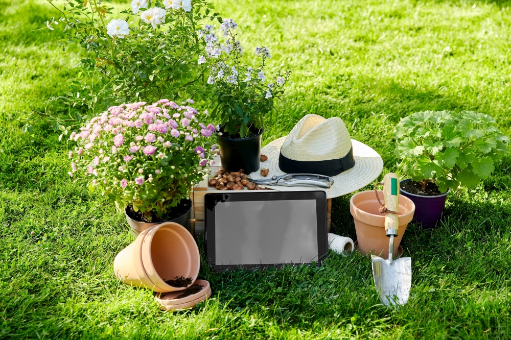 gardening and people concept - tablet pc computer, garden tools, wooden box and flowers in pots at summer. tablet pc, garden tools and flowers at summer