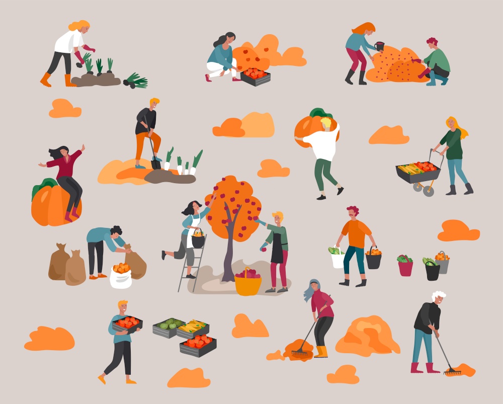People gathering crops or seasonal harvest, collecting ripe vegetables, picking fruits and berries, remove leaves. Men, women work on a farm. Agricultural workers in autumn. Cartoon vector illustration. People gathering crops or seasonal harvest, ollecting ripe vegetables, picking fruits and berries, remove leaves. Men, women work on a farm