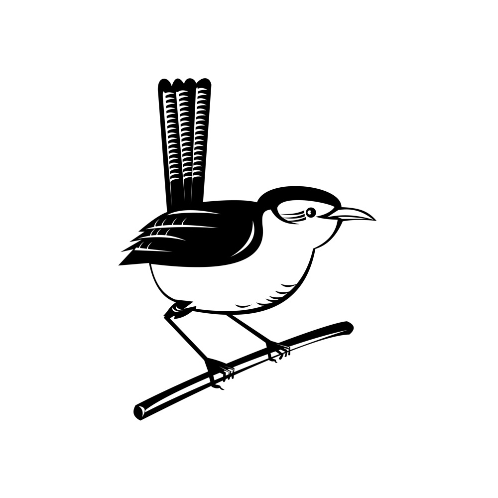 Retro style illustration of a wren, a family of brown passerine birds in the predominantly New World family Troglodytidae, perching on branch twig on isolated background in black and white.. Wren Brown Passerine Bird Perching on Branch Retro Black and White